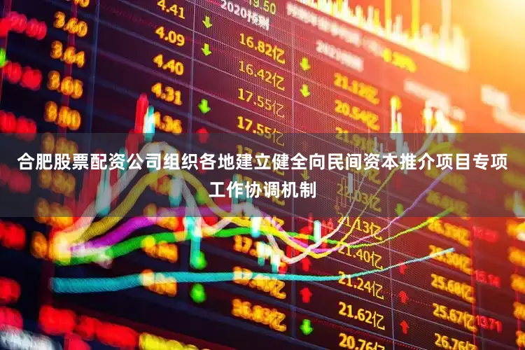 合肥股票配资公司组织各地建立健全向民间资本推介项目专项工作协调机制