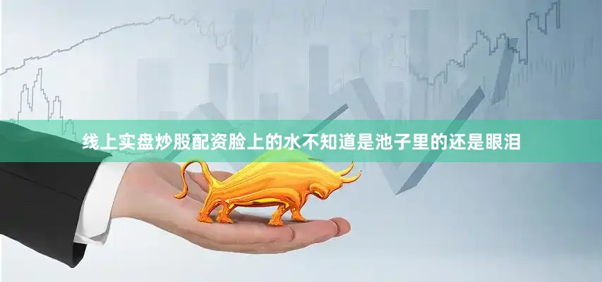 线上实盘炒股配资脸上的水不知道是池子里的还是眼泪